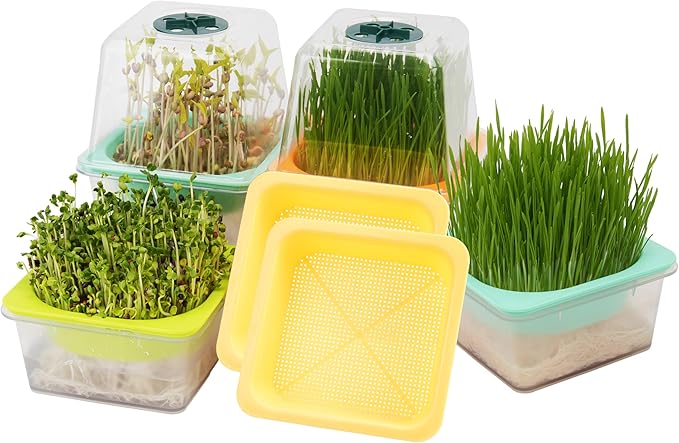 Microgreen Growing Trays, 5" x 5" Sprouting Tray with Humidity Dome, 1.2 mm Small Mesh Holes, BPA Free, Sprouter Kit for Growing Mirco Seeds, Like Broccoli, Alfalfa, Radish, Clover - 6 Pack | Clear