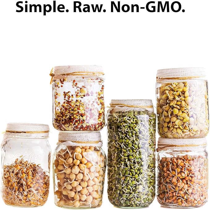 Organic Garden Yellow Pea Seed - 25 Lb Bulk ~50,000 Seeds - Non-GMO Heirloom Yellow Sprouting Pea Seeds for Microgreens Pea Shoots, Outdoor Gardening, Indoor Sprouting, Cover Crops, Micro Greens Kit
