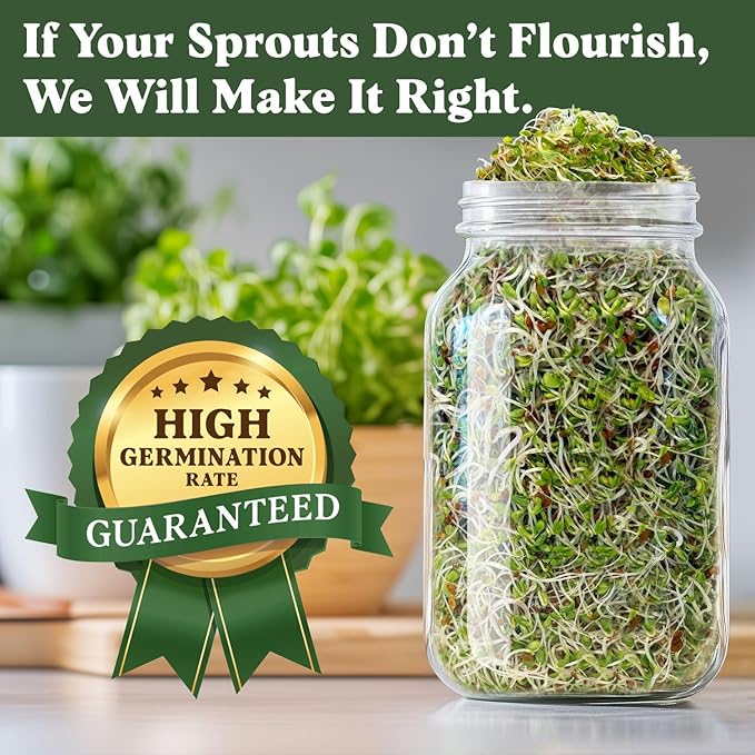 Seedboy Organic Non-GMO Sprouting Seeds, Immune System Booster - USA Grown Microgreens Mix with Broccoli, Purple Radish, Alfalfa - 8 oz Bag Makes 8 Quarts / 24 Servings (Immune System Booster Blend)