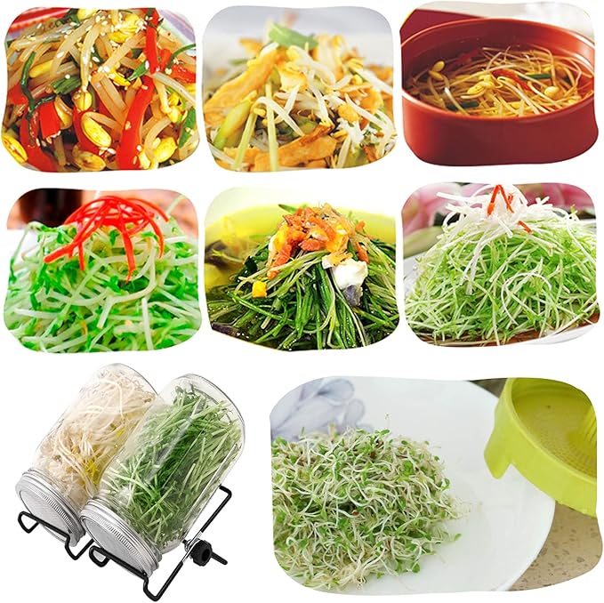 Lulonpon 4 Sprouting Jar Kit, Wide Mouth Quart Mason Jars with Stainless Steel Screen Sprout Lids, 86mm,1000ml,Stand,Tray and Canning Brush,Seed Sprouter Set for Growing Broccoli, Alfalfa, Mung Bean