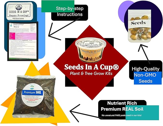 Seeds In A Cup® Pumpkin Grow Kit – Indoor Gardening Starter Set to Grow Mini Pumpkins, Fun Educational Gift for Kids & Adults, Quick Sprouting Greenhouse Planter