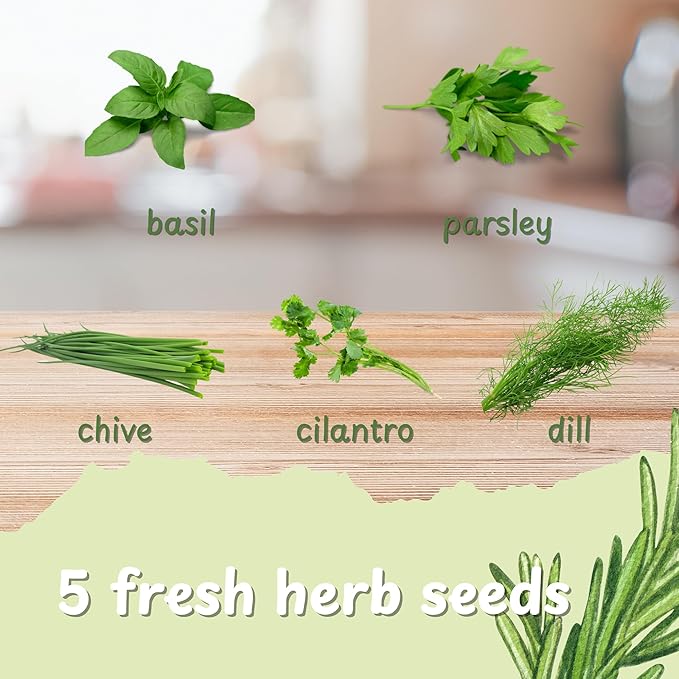 5 Herb Indoor Garden Kit- Unique Chrismas Herb Gardening Gift, Home Kitchen Gift for Mom, Friends, and Gardeners, Basil, Parsley, Chives, Cilantro, Dill
