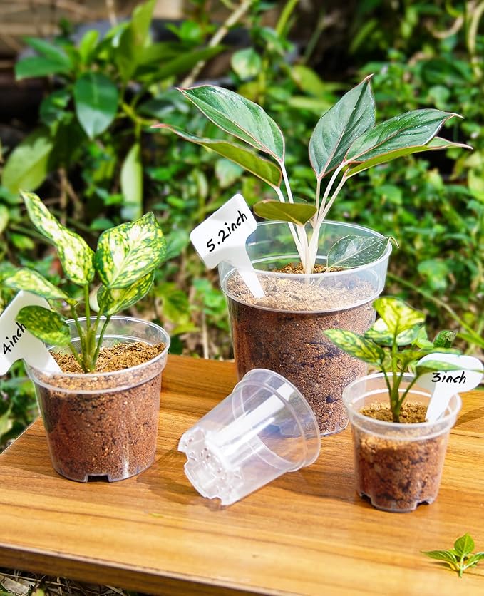 homenote Clear Nursery Pots for Plants,4 Inch Plant Pot for Planting Plastic Seedling with Drainage Holes Seed Starter Flower High Transparency with 20 Labels (30 Pack)