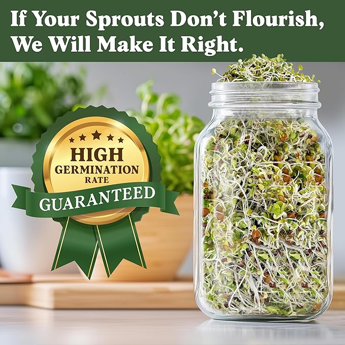 Seedboy Organic Non-GMO Sprouting Seeds, Superfood Blend - USA Grown Microgreens Mix with Broccoli, Radish, Pak Choi, Clover, Red Kale - 8 oz Makes 8 Quarts / 24 Servings (Superfood Blend)
