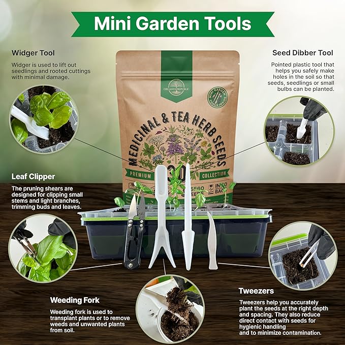 Organo Republic 30 Medicinal & Tea Herb Seeds Variety Pack 15,560+ Non-GMO Heirloom Garden Seeds for Indoor & Outdoors, Including Anise, Bergamot, Borage, Cilantro, Chamomile, Dandelion Seeds