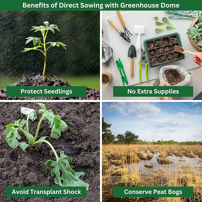 Kids Cucumber Garden Kit – Grow Your Own Cucumbers from Seeds with Greenhouse Germination Domes & Grow Rings, Non-GMO Seeds, BPA-Free | Gardening Gift for Kids & Families, Made in USA