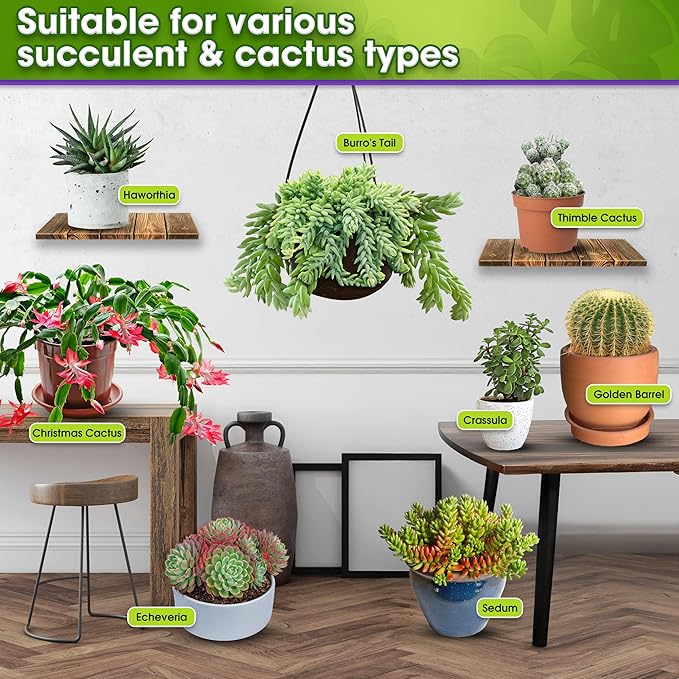 DUSPRO Succulents Soil Potting Mix – 7 in 1 Ingredients Well-Draining, Nutrient-Rich Cactus Potting Soil for Succulents and Cacti, Indoor & Outdoor Use, Ready to Use, Supports Healthy Root Growth, 8QT