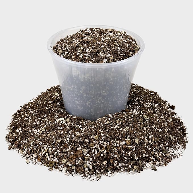 Premium African Violets and Gesneriad Premium Soil Mix by Gardenera - 10 Quart - Horticultural Perlite, Vermiculite, Sphagnum Peat Moss - Made in USA - (2 Bags of 5QT)