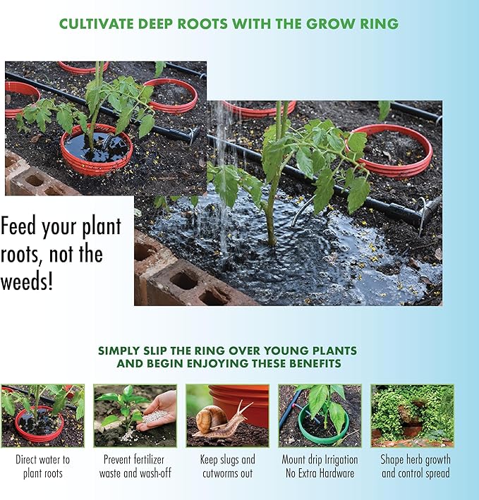 Kids Pumpkin Garden Kit – Grow Your Own Pumpkins from Seeds with Greenhouse Germination Domes & Grow Rings, Non-GMO Seeds, BPA-Free | Gardening Gift for Kids & Families, Made in USA