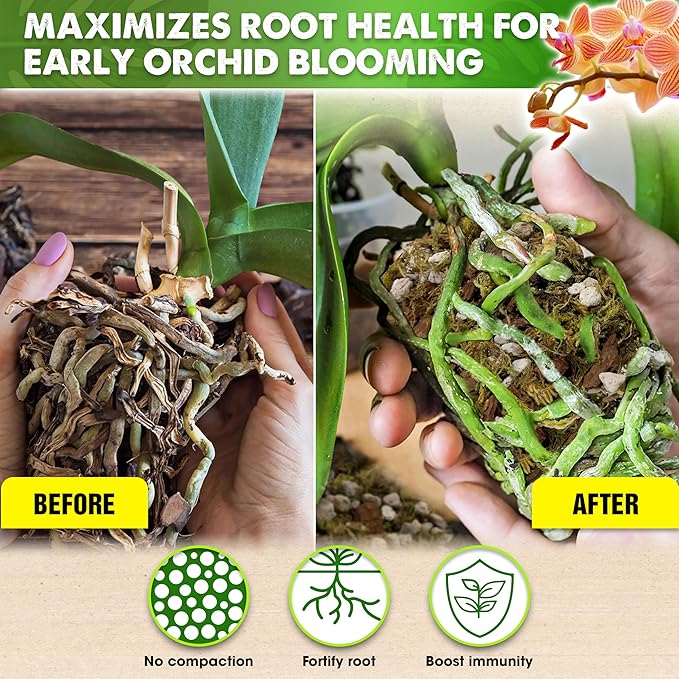 [Upgraded] DUSPRO Orchid Potting Mix for Repotting with Forest Moss, Pine Bark, Perlite & Pumice, Orchid Bark Potting Mix, Orchid Repotting Soil, Drainage Indoor Potting, Orchid Pot Not Included,1 QRT