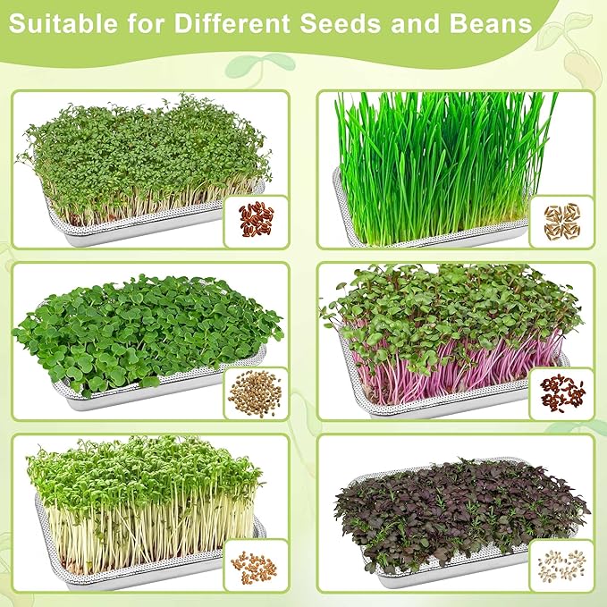 Stainless Steel Sprouts Growing Kit 2-Tier 10.4 inch Trays, Microgreens Growing Kit, Seed Sprouting Tray with Encrypted Mesh Sprouts for Beans Alfalfa Broccoli Wheat Grass