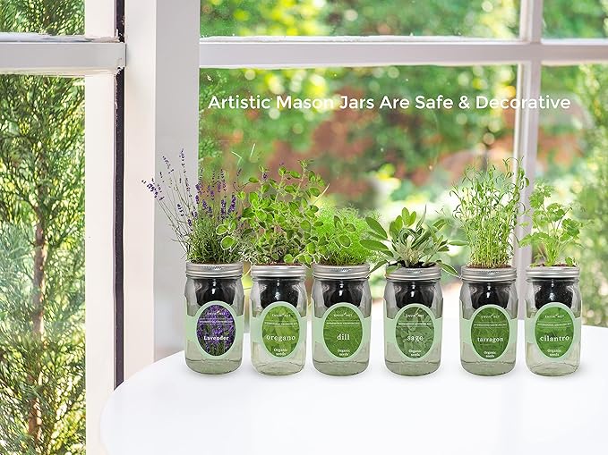 Hydroponic Herb Growing Kit, Self-Watering Mason Jar Herb Garden Starter Kit Indoor, Windowsill Herbs Garden, New Christmas Grden Gift for Mom (Dill)