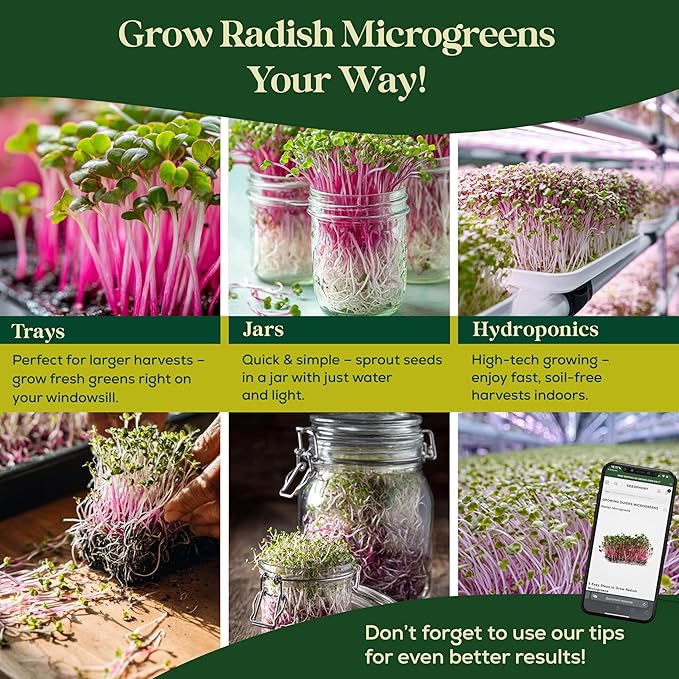 Radish Sprouting & Microgreens Seeds - 50,000 Non-GMO Heirloom Seed, 1lb Resealable Bag - High-Germination Radish Seeds for Sprouting in Jars, Soil, Hydroponics & Microgreen Trays