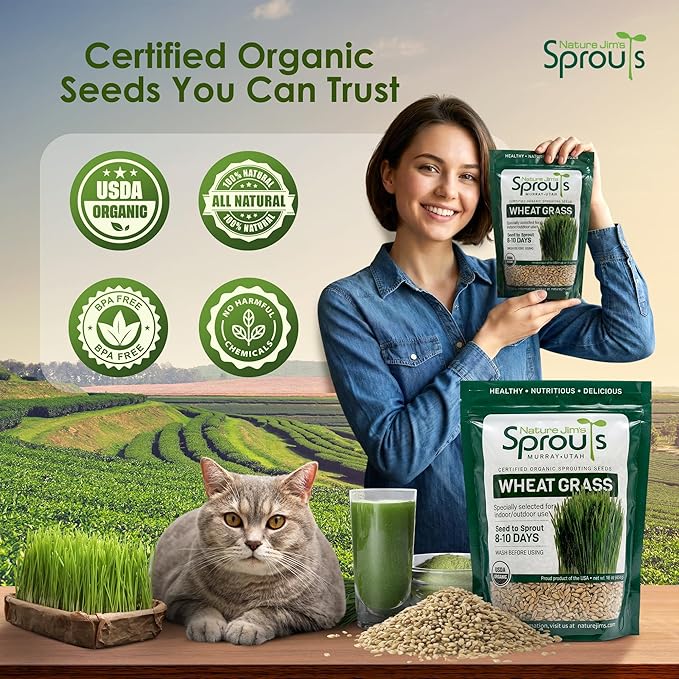Nature Jims Sprouts Wheat Grass Seeds – Non-GMO Organic Seeds for Planting, Cat Grass Kit Planter & Sprouting –Resealable Bag for Fresh Wheatgrass Sprouts – Packed with Vitamins, Fiber & Minerals–16oz