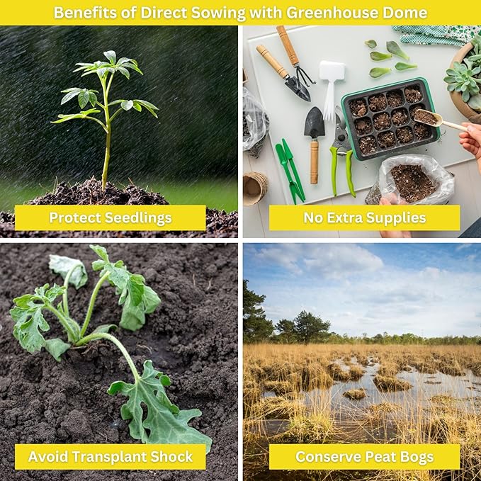 Kids Sunflower Garden Kit – Grow Your Own Sunflowers from Seeds with Greenhouse Germination Domes & Grow Rings, Non-GMO Seeds, BPA-Free | Gardening Gift for Kids & Families, Made in USA