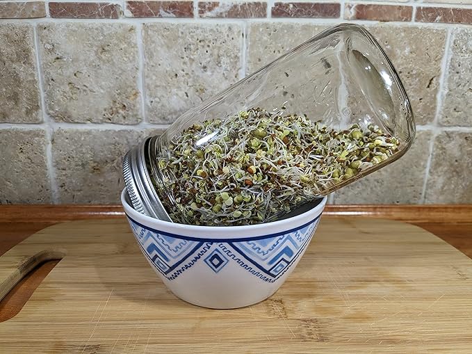 Variety Pack Sprouting Seeds Broccoli, Alfalfa, Radish, Mung beans & Salad Mix for Sprouts and Microgreens. Non-GMO. Pack of 10 premeasured seeds for quart size jars or trays. Includes 2 packs of each