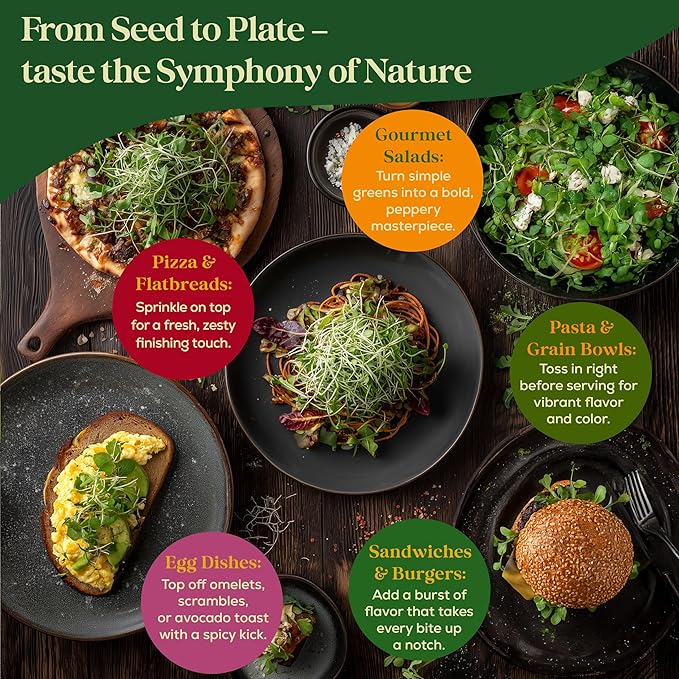 Arugula Sprouting & Microgreens Seeds - 220,000 Non-GMO Heirloom Seed, 1lb Resealable Bag - High-Germination Arugula Seeds for Sprouting in Jars, Soil, Hydroponics & Microgreen Trays
