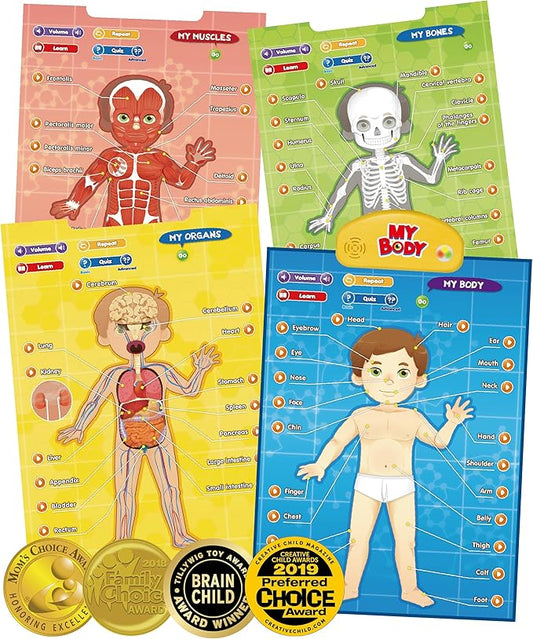 BEST LEARNING i-Poster My Body – Interactive Educational Human Anatomy Talking Toy for Kids Ages 5-12 to Learn Body Parts, Organs, Muscles and Bones Through Fun Sound and Quiz Modes