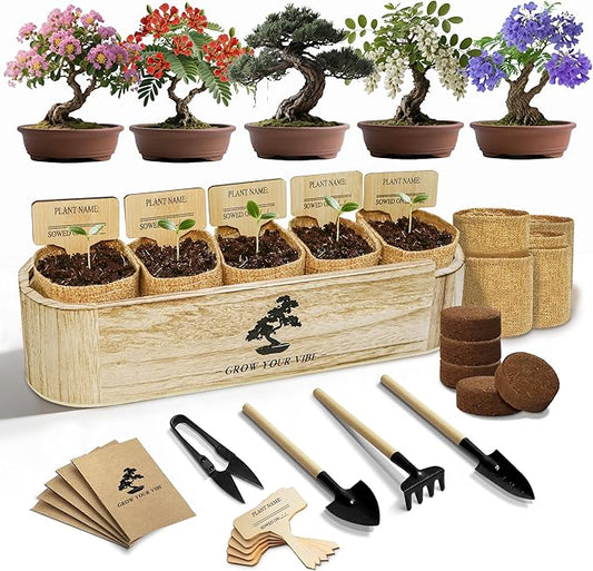 Bonsai Tree Kit for Beginners - Unique DIY Japanese Bonsai Trees, Crafts for Adults, for Women & Men,Complete Indoor Plant Kit