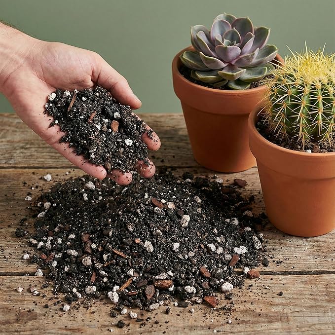 Cactus & Succulent Potting Mix - 5 Dry Quarts Premium Gritty Fast Draining Soilless Potting Mix for Cactus, Succulents, Jade, Aloe Vera - Healthy Roots - Made in USA