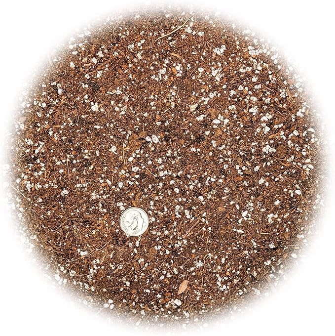 Gardenera Premium Raspberry Potting Soil Mix - Optimal Blend for Thriving and Juicy Berries - 10 Quart