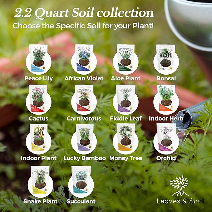 Professional Money Tree Soil | Large 2.2 Quarts Ready to Use for Money Tree Plants | Peat Moss, Coco Coir, Perlite, Dolomite | Made in USA